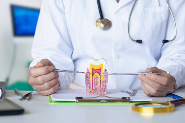 Best Emergency Broken Tooth Repair in Stillwater, OK